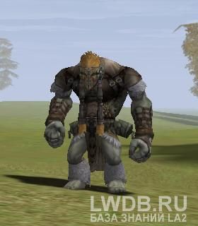    - Fallen Orc Shaman