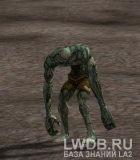  - Assassin Beetle