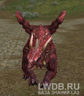    - Magma Drake