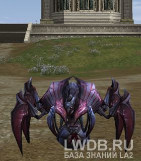   - Hexa Beetle