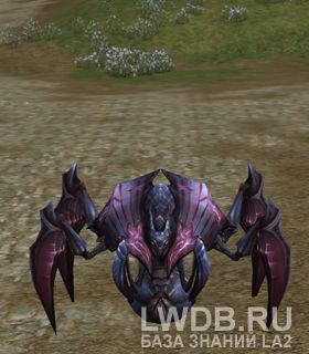   - Jamadar Beetle