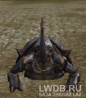   - Offering Bug
