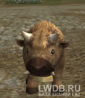   - Alpen Buffalo
