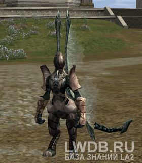   - Needle Stakato