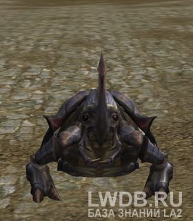   - Grave Scarab