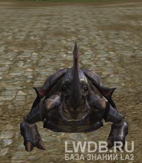   - Scavenger Scarab