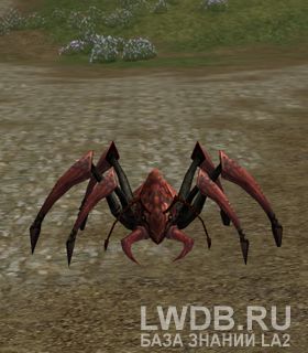   - Scavenger Ant