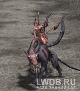    - Purgatory Invader Disciples