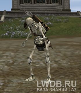     - Forbidden Path Invader Archer