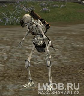     - Dark Omen Invader Archer
