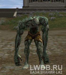   - Vassal Ghost