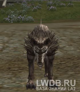   - Grim Wolf