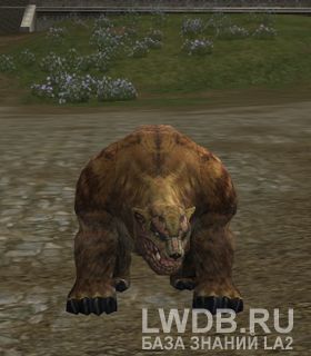   - Grim Grizzly