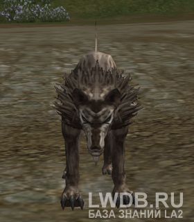   - Bandit Hound