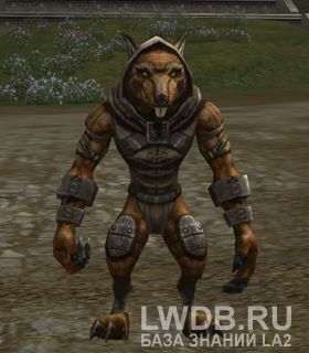   - Bandit Assassin