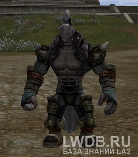   - Ragna Orc Hero