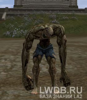   - Dark Corpse