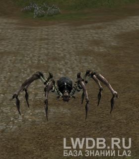   - Dark Spider