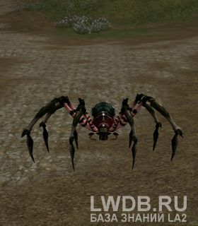   - Spelunking Spider
