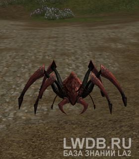   - Spelunking Ant