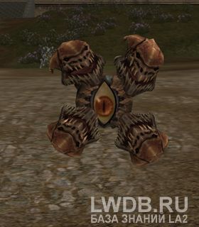   - Elder Lost Watcher