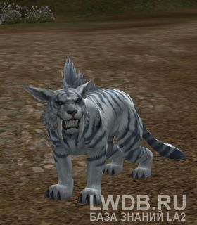   - Baby Panthera