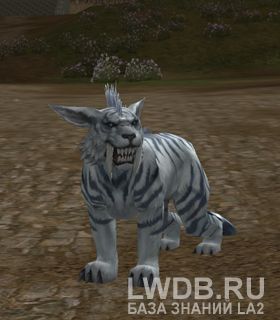  - Panthera