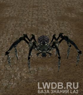   - Frost Tarantula