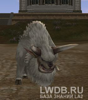   - Lost Buffalo