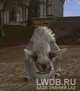   - Frost Buffalo