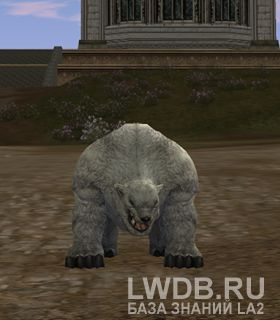   - Ursus Cub