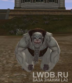   - Lost Yeti