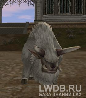   - Freya's Buffalo