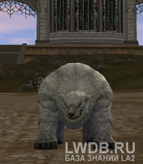    - Freya's White Bear