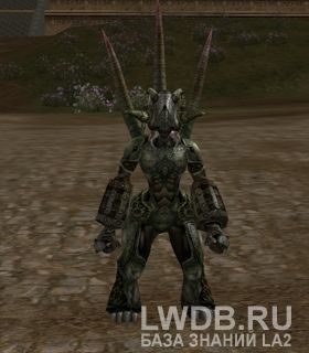    - Female Spiked Stakato