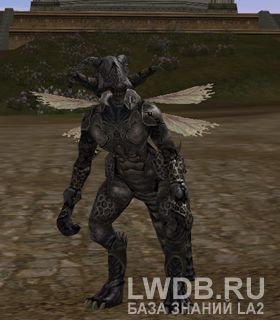    - Male Spiked Stakato