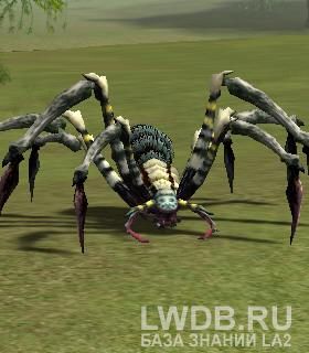   - Retreat Spider Cletu
