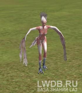   - Kael's Escort