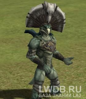    - Wizard of Storm Teruk