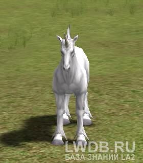   - Ruell's Unicorn