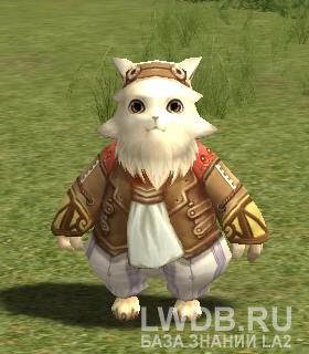    - Leader of Cat Gang