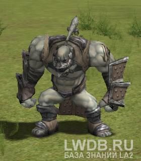     - Timak Orc Chief Ranger