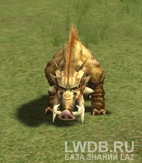    - Soulless Wild Boar