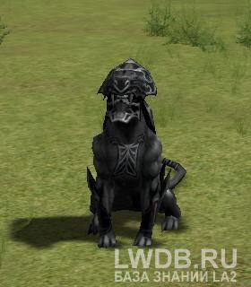   - Sejarr's Servitor