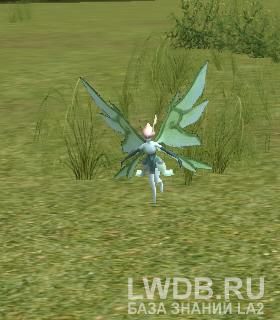    - Spirit of Sea of Spores