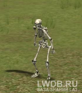    - Evil Spirit Warrior