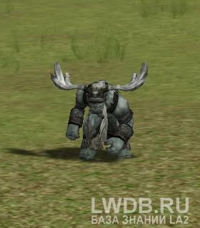   - Fanatic Shaman