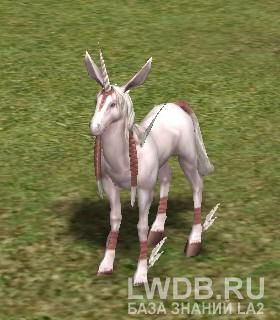   - Ririf the Unicorn