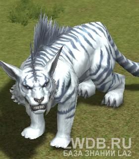    - Tiger King Karuta