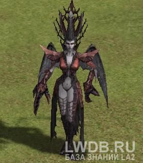  - Black Lily